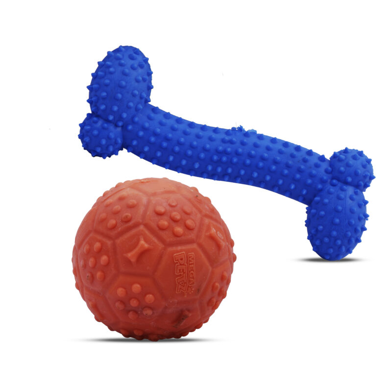 Mega Petz Combo Musical Ball & Bone