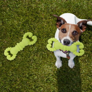 Hello Friends Crab Dog Chew Toy is made from soft, food-grade, non-toxic rubber that is safe for puppies and dogs. Its fun crab shape, scented design, and durable construction help keep pets engaged while supporting healthy chewing habits and interactive play. Hello Friends Crab Dog Chew Toy is made from soft, food-grade, non-toxic rubber that is safe for puppies and dogs. Its fun crab shape, scented design, and durable construction help keep pets engaged while supporting healthy chewing habits and interactive play.