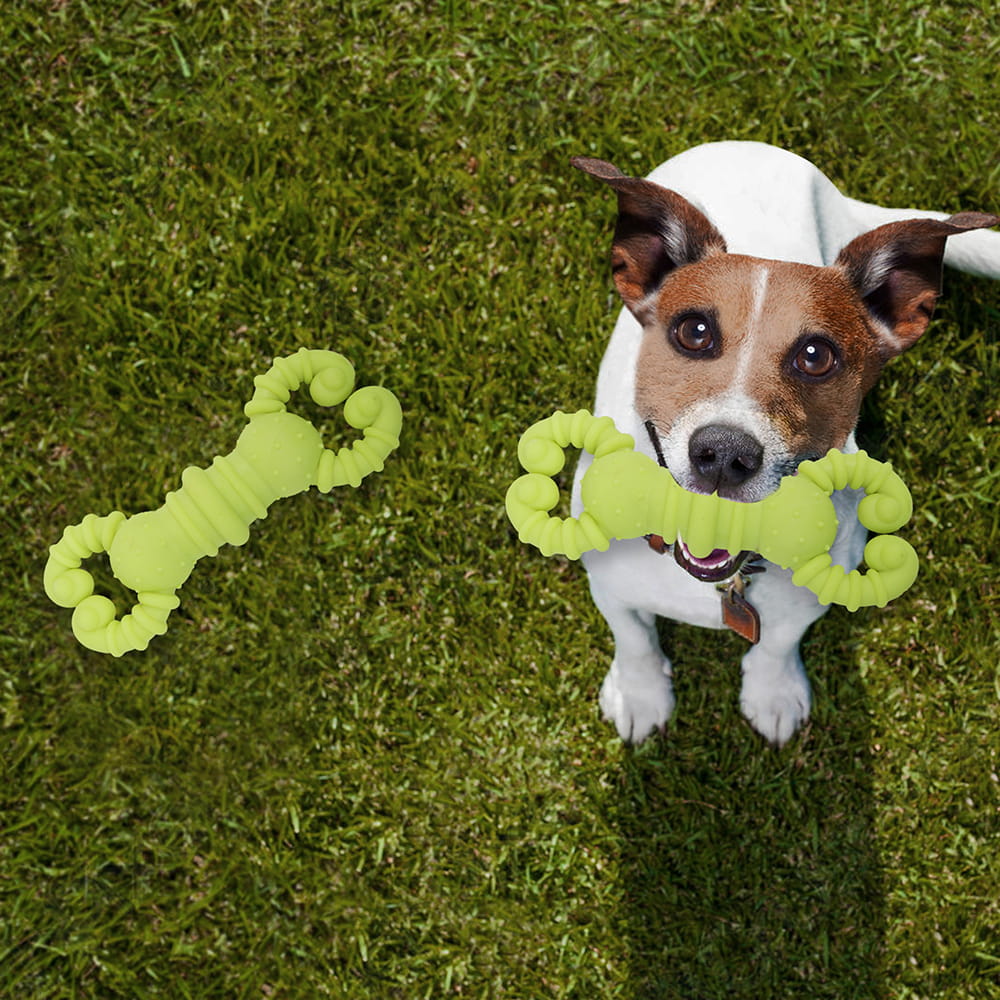 Hello Friends Crab Dog Chew Toy is made from soft, food-grade, non-toxic rubber that is safe for puppies and dogs. Its fun crab shape, scented design, and durable construction help keep pets engaged while supporting healthy chewing habits and interactive play. Hello Friends Crab Dog Chew Toy is made from soft, food-grade, non-toxic rubber that is safe for puppies and dogs. Its fun crab shape, scented design, and durable construction help keep pets engaged while supporting healthy chewing habits and interactive play.