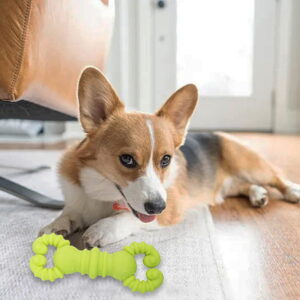 Hello Friends Crab Dog Chew Toy is made from soft, food-grade, non-toxic rubber that is safe for puppies and dogs. Its fun crab shape, scented design, and durable construction help keep pets engaged while supporting healthy chewing habits and interactive play. Hello Friends Crab Dog Chew Toy is made from soft, food-grade, non-toxic rubber that is safe for puppies and dogs. Its fun crab shape, scented design, and durable construction help keep pets engaged while supporting healthy chewing habits and interactive play.