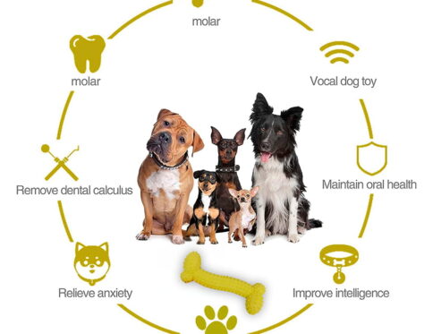 Hello Friends Dog Chew Toy is made from soft, food-grade, non-toxic material that is safe for puppies and dogs. Its scented and durable design helps keep pets engaged while supporting healthy chewing habits and interactive play.