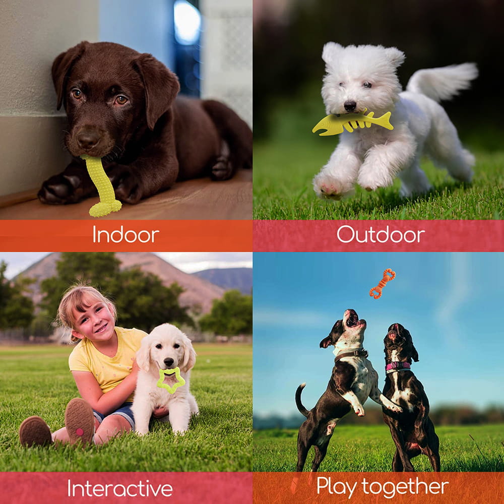 Hello Friends Dog Chew Toy is made from soft, food-grade, non-toxic material that is safe for puppies and dogs. Its scented and durable design helps keep pets engaged while supporting healthy chewing habits and interactive play. Hello Friends Dog Chew Toy is made from soft, food-grade, non-toxic material that is safe for puppies and dogs. Its scented and durable design helps keep pets engaged while supporting healthy chewing habits and interactive play.