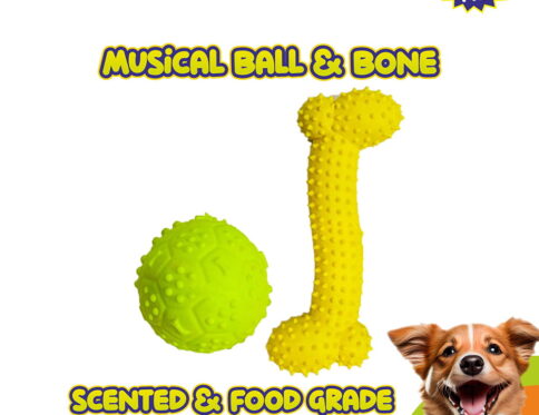 Hello Friends Dog Toy Combo includes a chew bone and a musical ball made from soft, non-toxic, pet-safe material. Designed for puppies and small dogs, this combo encourages healthy chewing, active play, and long-lasting entertainment.