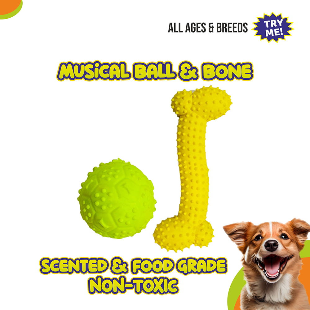 Hello Friends Dog Toy Combo includes a chew bone and a musical ball made from soft, non-toxic, pet-safe material. Designed for puppies and small dogs, this combo encourages healthy chewing, active play, and long-lasting entertainment.