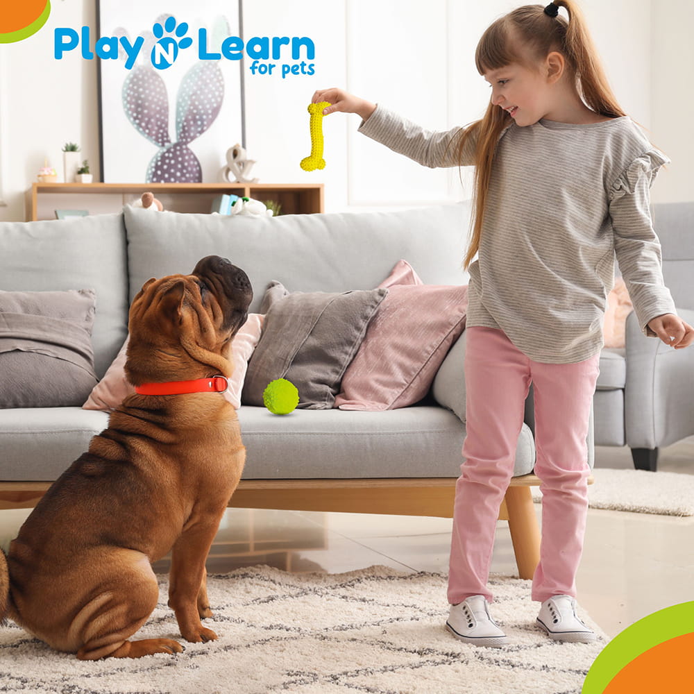 Hello Friends Dog Toy Combo includes a chew bone and a musical ball made from soft, non-toxic, pet-safe material. Designed for puppies and small dogs, this combo encourages healthy chewing, active play, and long-lasting entertainment.