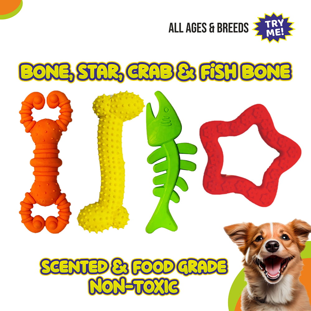 Hello Friends Dog Toy Combo Pack of 4 includes bone, star, crab, and fish-shaped chew toys made from soft rubber and pet-safe materials. Designed for puppies and small dogs, these scented toys help encourage healthy chewing habits while providing hours of fun and engagement.