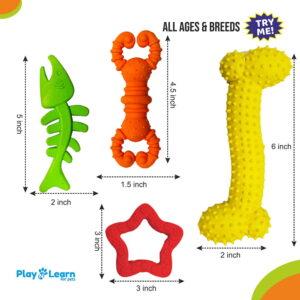 Hello Friends Dog Toy Combo Pack of 4 includes bone, star, crab, and fish-shaped chew toys made from soft rubber and pet-safe materials. Designed for puppies and small dogs, these scented toys help encourage healthy chewing habits while providing hours of fun and engagement.