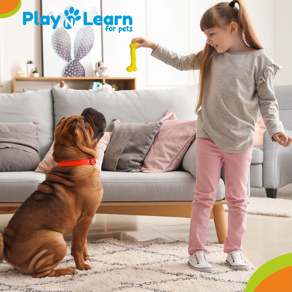 Hello Friends Dog Toy Combo Pack of 4 includes bone, star, crab, and fish-shaped chew toys made from soft rubber and pet-safe materials. Designed for puppies and small dogs, these scented toys help encourage healthy chewing habits while providing hours of fun and engagement.