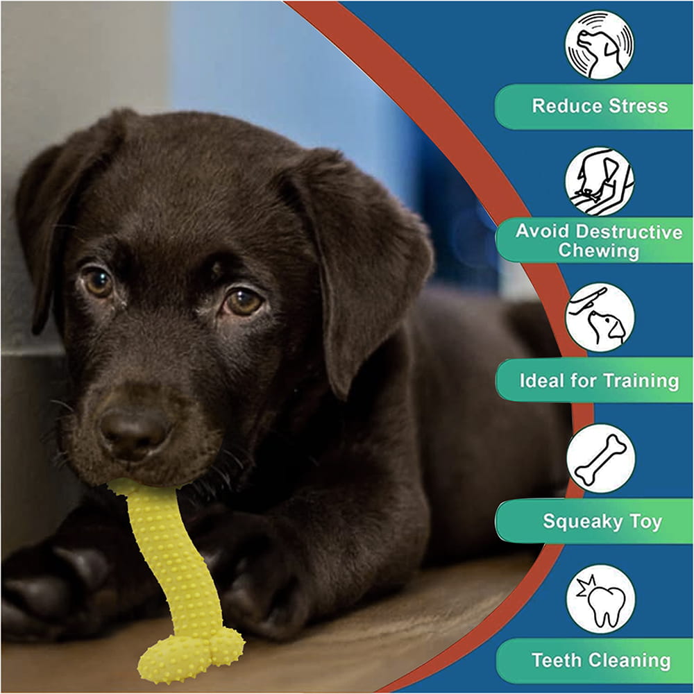 Hello Friends Dog Toy Combo Pack of 4 includes bone, star, crab, and fish-shaped chew toys made from soft rubber and pet-safe materials. Designed for puppies and small dogs, these scented toys help encourage healthy chewing habits while providing hours of fun and engagement.