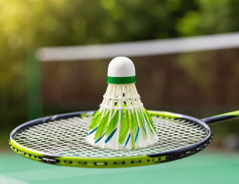 This badminton shuttlecock pack of 10 is designed for players looking for consistency and durability. Made from natural hen feather white shuttlecock material, it ensures smooth flight and dependable performance.