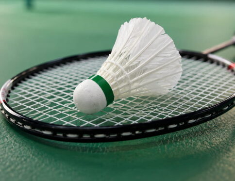 The Volt Pro Classic Medium Quality Feather Shuttlecock Pack of 10 is ideal for regular practice and casual badminton play. It delivers stable flight performance and consistent shuttle speed, making it a dependable choice for everyday court sessions and beginners.