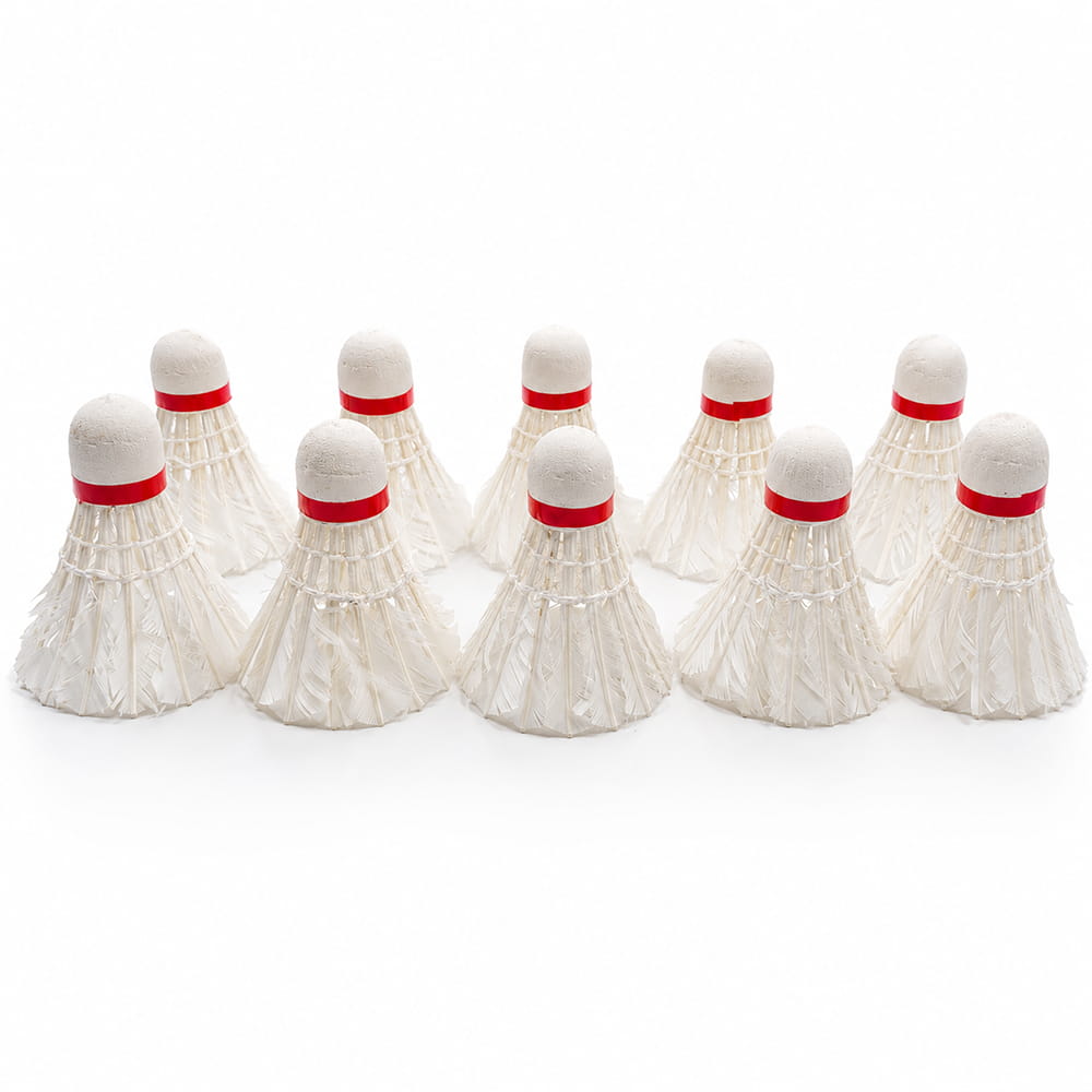 Volt Pro Rohit Feather Shuttlecocks are designed for regular badminton training and daily practice. They provide controlled flight and dependable handling, making them suitable for beginners, coaching sessions, and recreational play.