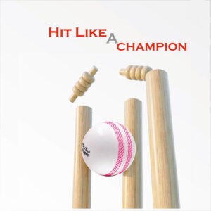 Volt Pro Gripper Seam Wind Ball is designed for swing and seam bowling practice. With a lightweight 90g construction and coloured seam, it is suitable for cricket training, coaching, and recreational play.