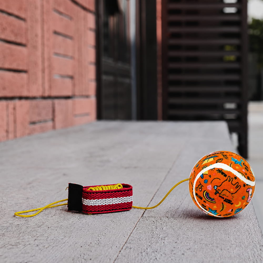 Hello Friends Rebound Ball Return Ball Yo-Yo features a 2.5-inch tennis-style ball attached to a string and strap for catching, bouncing, and throwing practice. The connected design allows repeated return play and makes it a fun choice for kids, active play, and outdoor recreation.