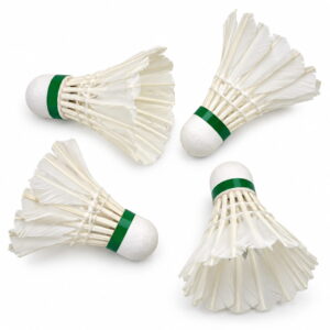" Volt Pro Hitz White Feather Shuttlecock Pack of 5 is designed for reliable badminton practice and recreational play. With a feather construction and EVA cork base, it offers balanced handling and consistent flight. Suitable for beginners, regular players, training sessions, and outdoor practice." " Volt Pro Hitz White Feather Shuttlecock Pack of 5 is designed for reliable badminton practice and recreational play. With a feather construction and EVA cork base, it offers balanced handling and consistent flight. Suitable for beginners, regular players, training sessions, and outdoor practice."
