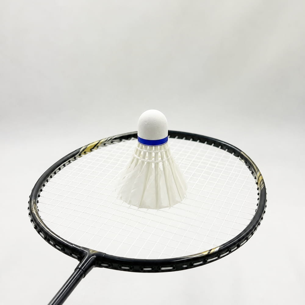 Volt Pro Mega Play Feather Shuttlecocks are designed for players who want speed and dependable performance during badminton practice and recreational games. A compact 3-piece pack suitable for regular play. Volt Pro Mega Play Feather Shuttlecocks are designed for players who want speed and dependable performance during badminton practice and recreational games. A compact 3-piece pack suitable for regular play.